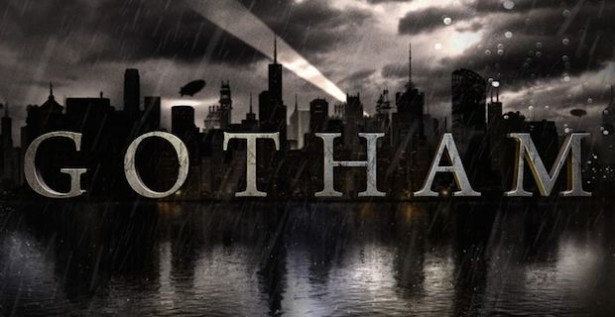Gotham Fox